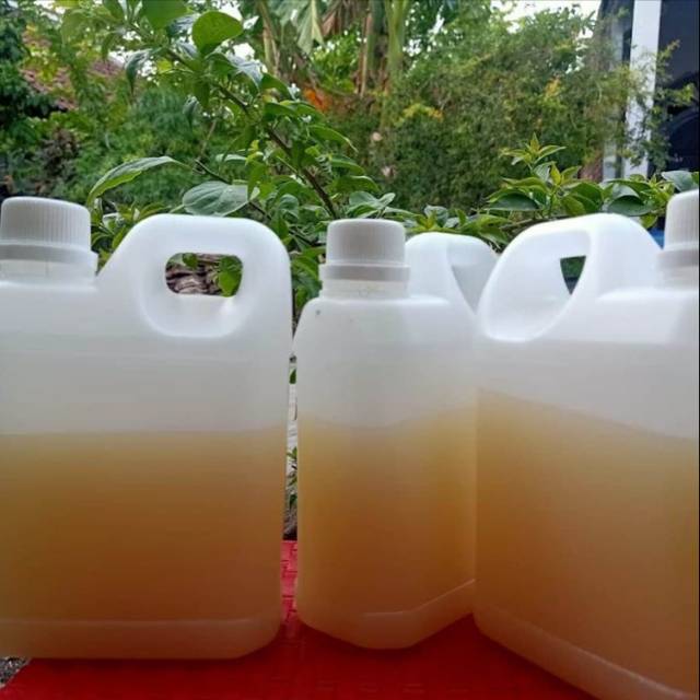 

Madu Murni 100%