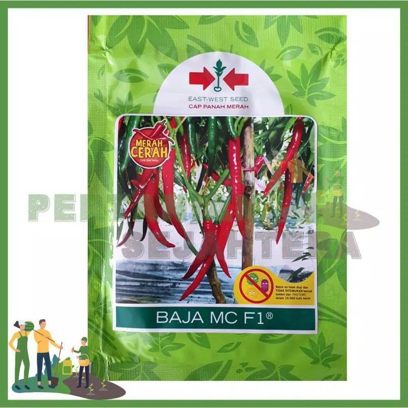 {25 Biji} Benih Cabe Besar Baja MC F1 Repack Original