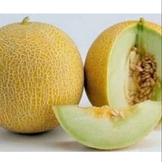 

Melon kurleb 2kg 1buah