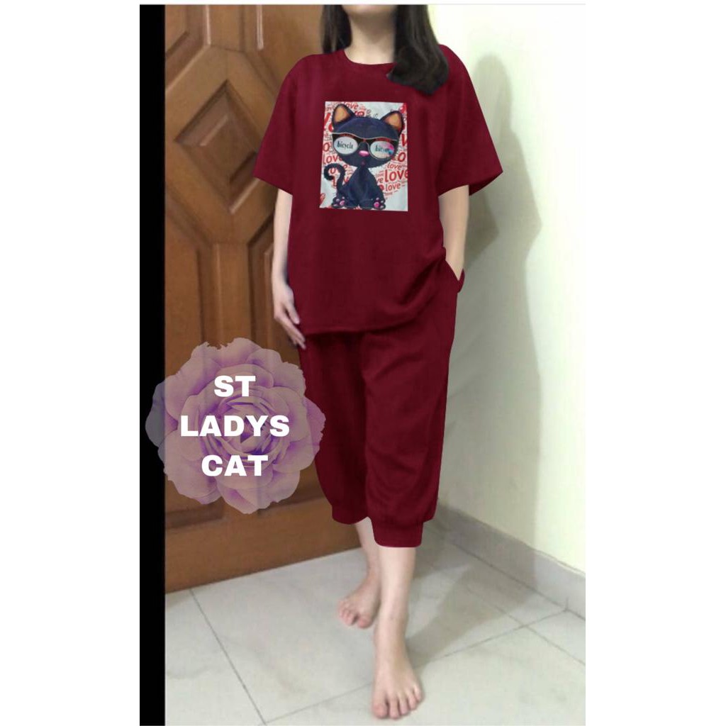 

ST LADYS CAT - HSA - VI