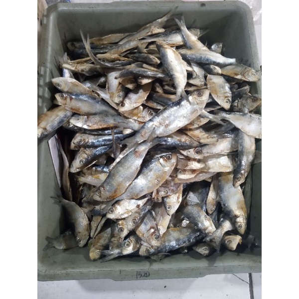 

ikan asin sipil 1kg