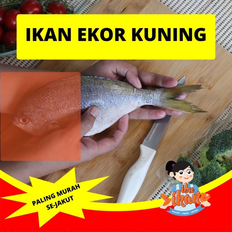 

IKAN EKOR KUNING 600 GRAM (+/-) SEGAR FRESH UNTUK PESMOL BALADO