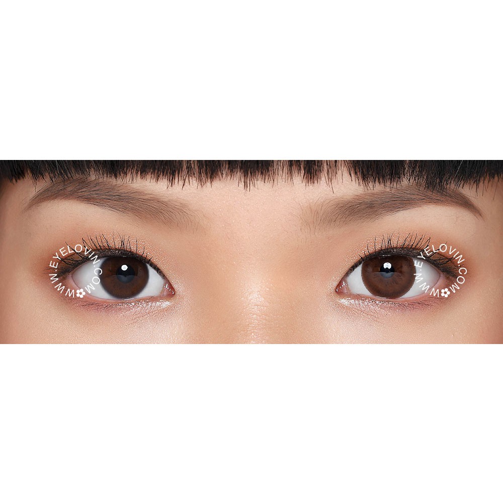 Eyelovin x Patricia Stephanie Softlens Neo Cosmo - Sage Brown Black N013