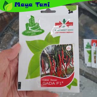 Benih Cabai Besar GADA F1 Isi 50 Seeds - Panah Merah