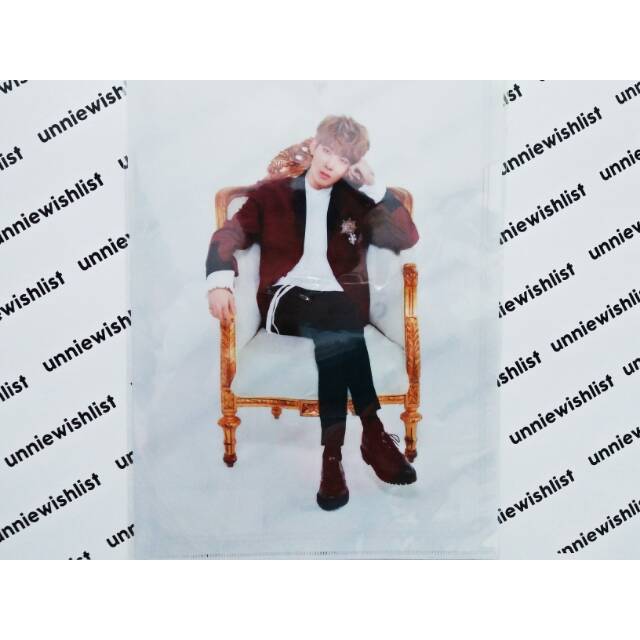 Seventeen Official Merch Clearfile 2018 Caratland & 2017 Japan Concert 'Say The Name'