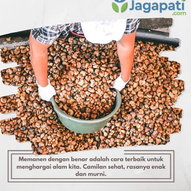 

4.4 SALE Paket Snack Terfavorit - East Bali Cashews & Ladang Lima - Granola Bites & Kue Kering Sehat