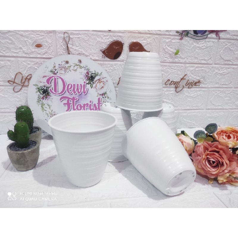 Pot Tirus Diameter 12 cm / Pot Tirus D 12cm