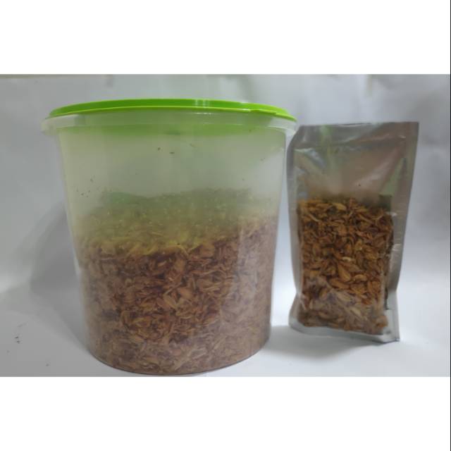 

Bawang Goreng Khas Palu 500 gram
