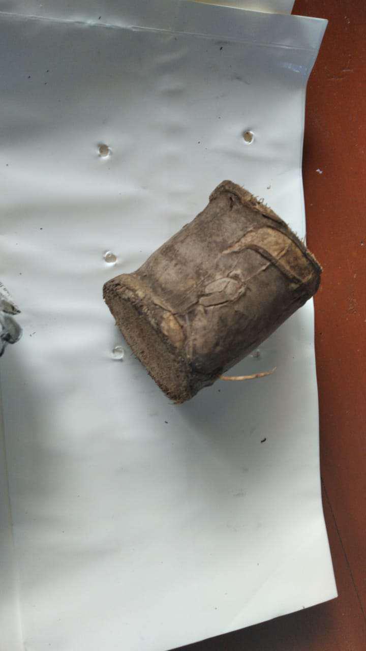 Polybag Putih 25 X 25