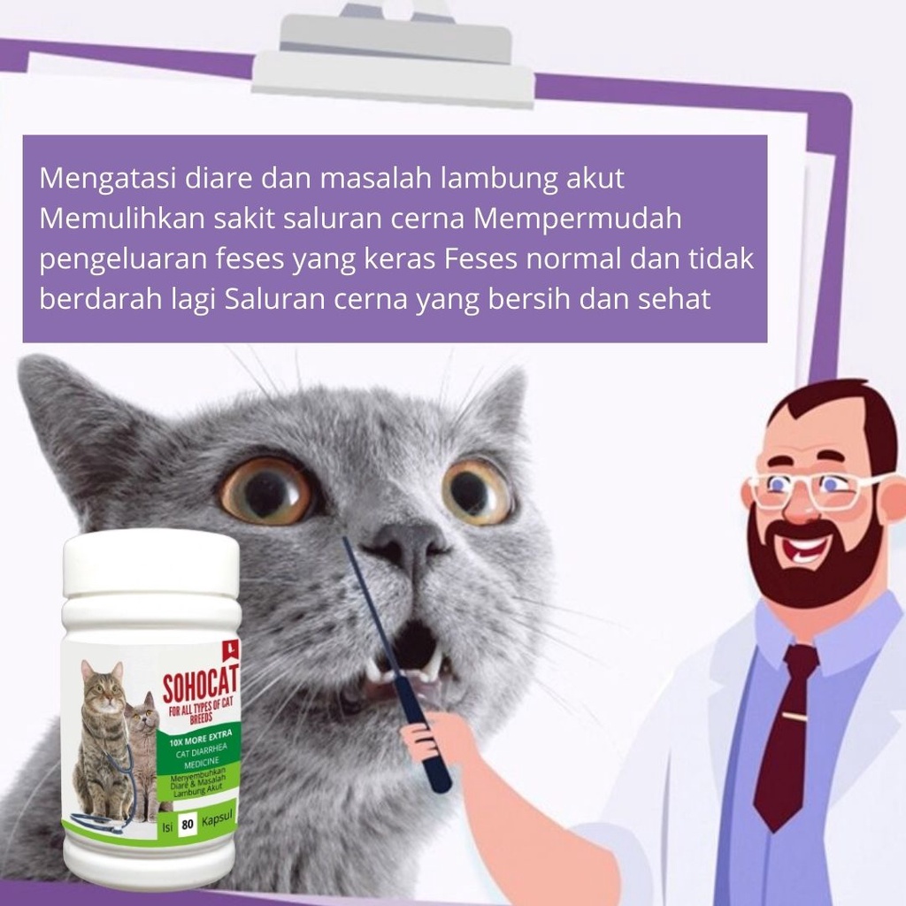 Obat Kucing MASALAH PENCERNAAN untuk Diare, Mencret, Pup Berdarah dan Radang Usus FEFARM