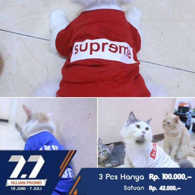 Kaos diskon 7.7 sablon keren untuk kucing size S M L XL