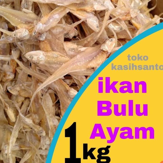

[COD] ikan asin bulu ayam-1kg [COD]