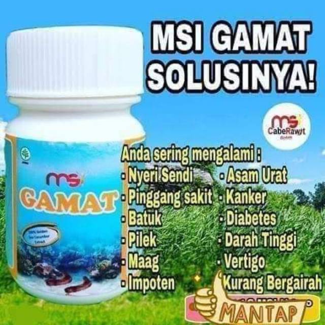 GAMALIFE TERIPANG EMAS/GAMAT MSI ORIGINAL