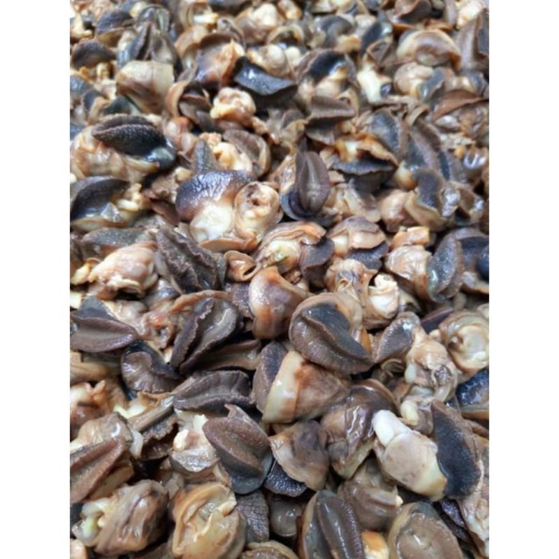 ❤GISELLA❤ Daging bekicot fresh / daging bekicot mentah