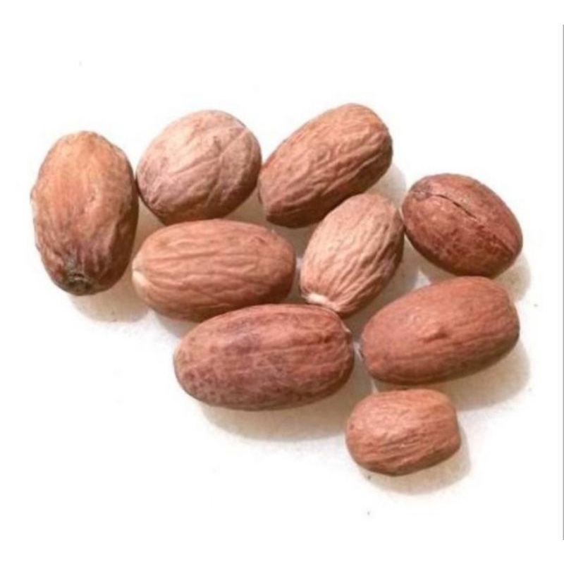 

buah biji palah 2pcs