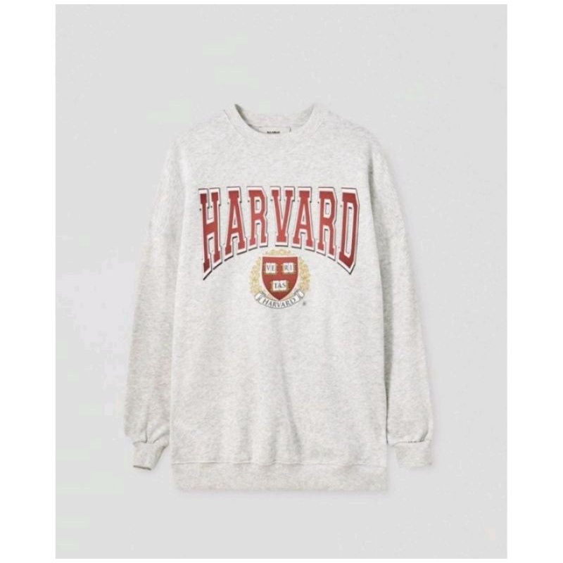 HARVARD SWEATER
