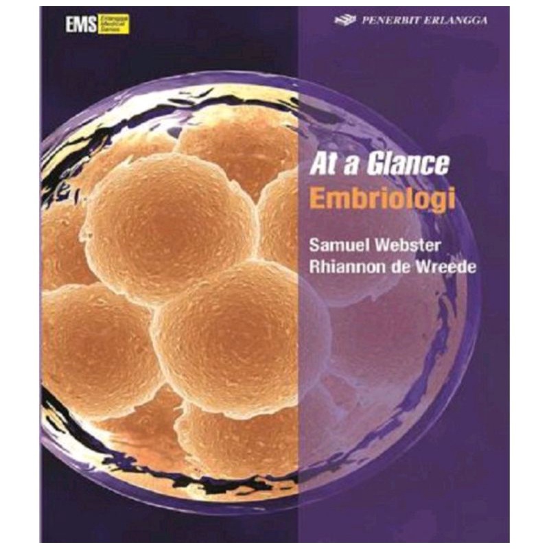 AT A GLANCE EMBRIOLOGI