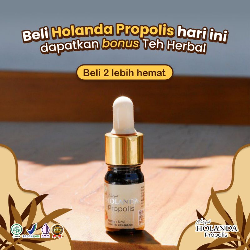 Holanda Propolis Asli Original Bergaransi COD