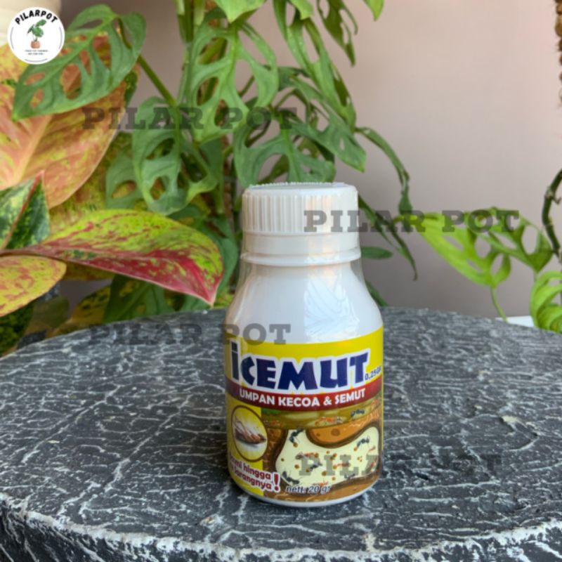 ICEMUT 0.25 GR 20 GRAM UMPAN KECOA SEMUT INSEKTISIDA - ICEMUT 0.25 GR