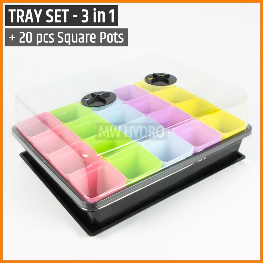 Tray + Base + Cover (3 in 1) INCLUDE 20 pcs 7cm Square Pot / Pot Kotak