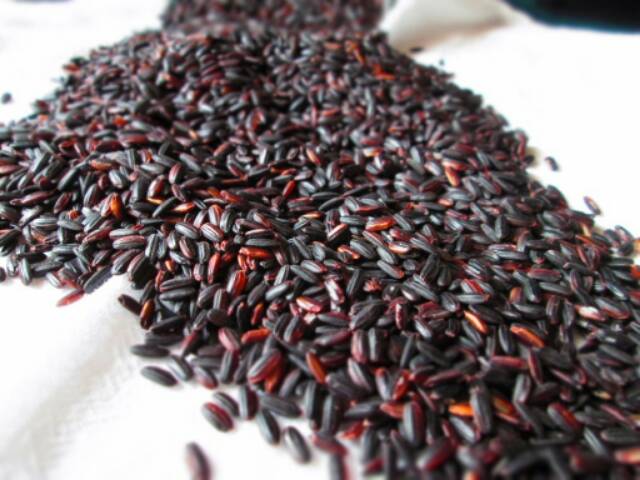 Benih Bibit Padi Beras Hitam Indonesia