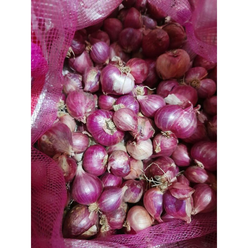 

Bawang merah probolinggo super