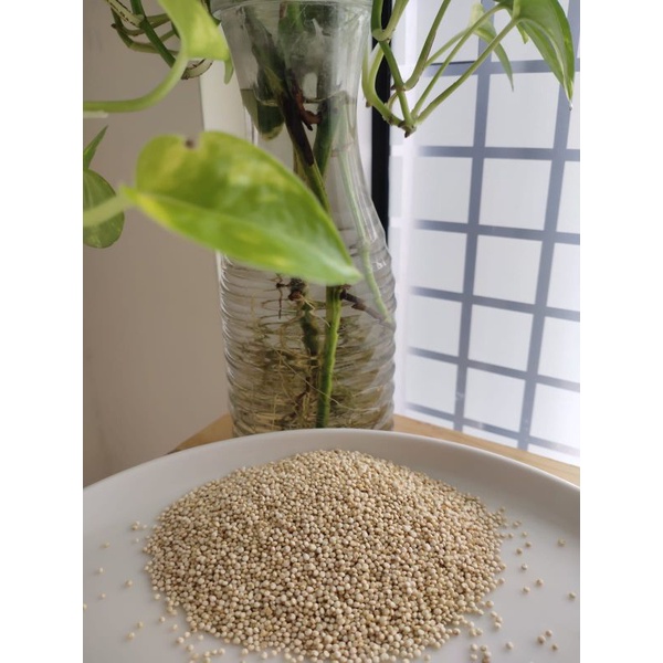 

White Quinoa 100gr *Solo*