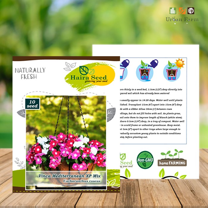 Benih-Bibit Bunga Vinca Gantung/Trailing XP Mix (Haira Seed)-1