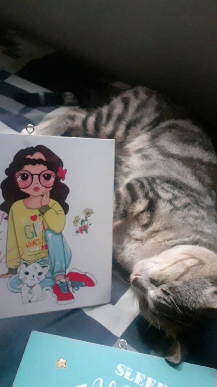 Wooden Projects Pajangan Dinding Rumah Hiasan Dekorasi Kamar Wall Decor Vector Girl Quote - Grw