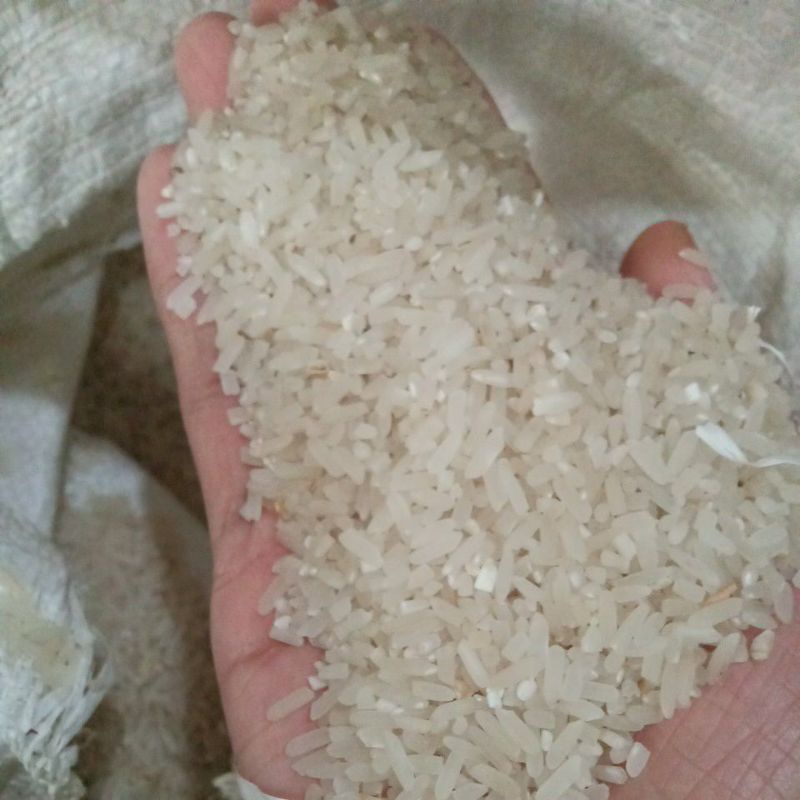 

Beras Murah√Beras Rumahan√Beras Hasil Panen Sendiri√Beras Pulen√