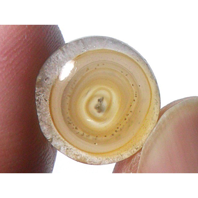 AG108 Round Cabochon 9ct 14mm Golden Brown White 'Greek Evil Eye' Picture Agate Natural Lucky Charm