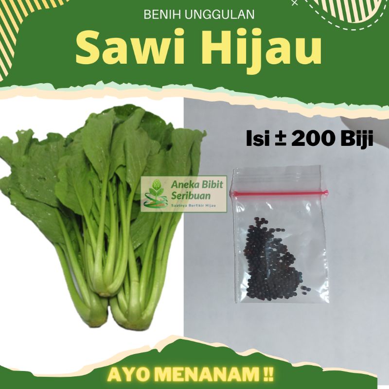 20 Gr - Benih Sawi Hijau Sawi Caisim SUPER Benih Unggul