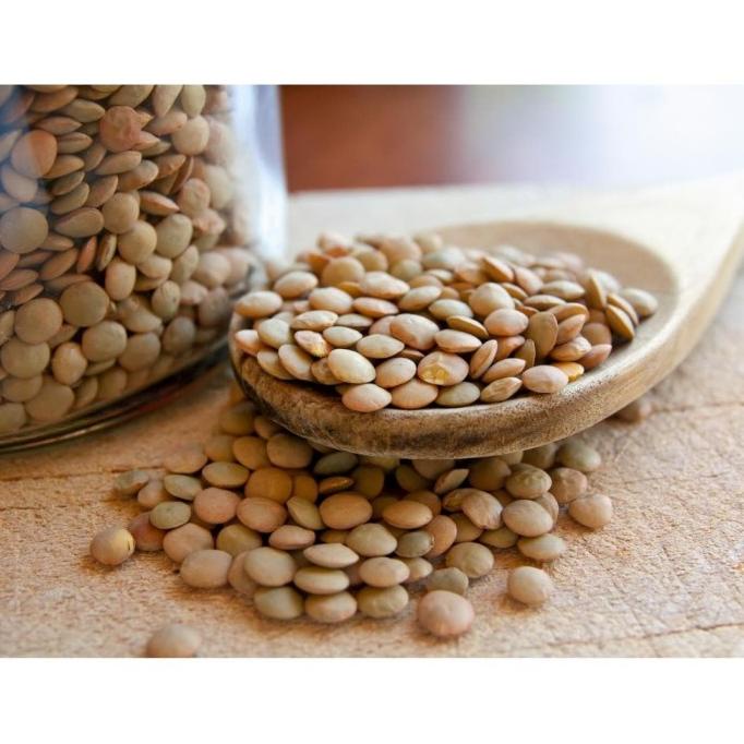 

GRATIS ONGKIR Brown Lentil . Kacang Lentil Coklat 1 Kg AP162