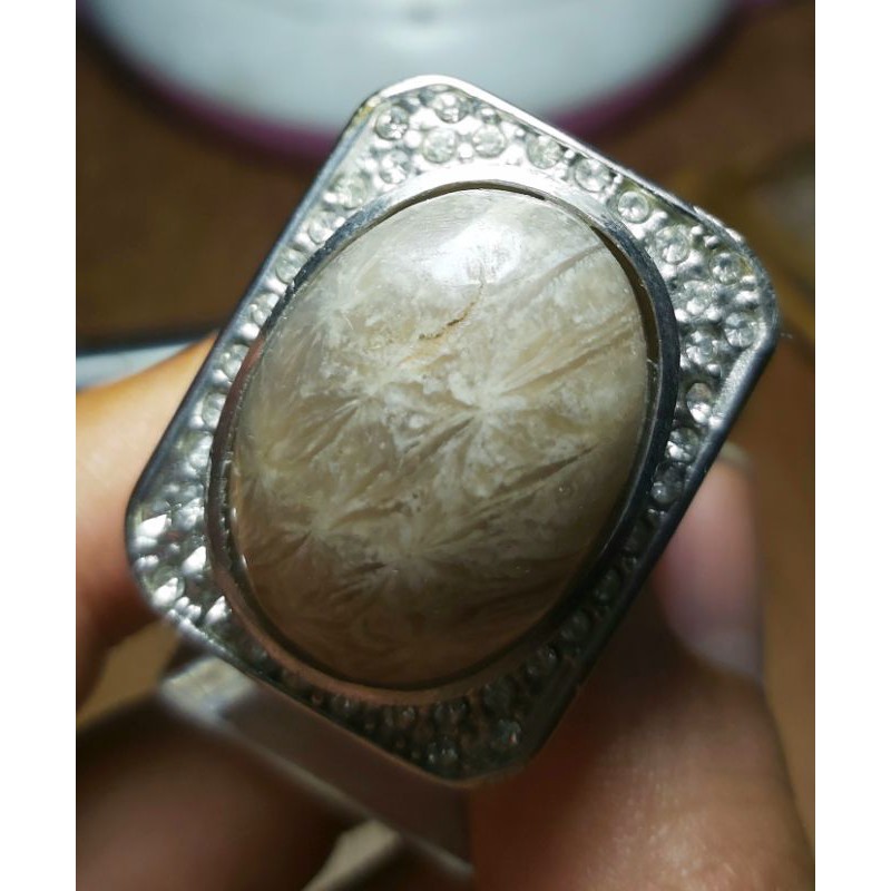 White Lotus Teratai Putih