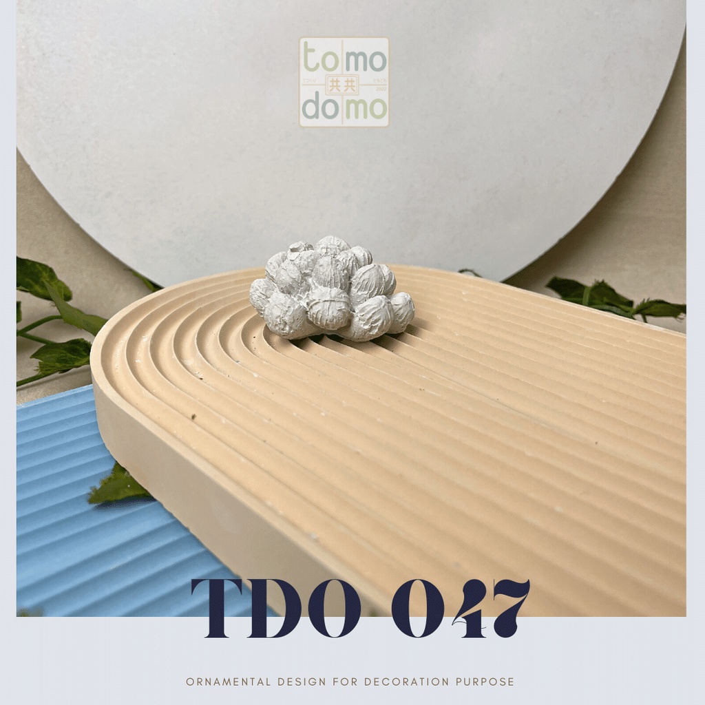[TDO 047 | SUCCULENTS] Ornamen | Sukulen Mini | Model Kacang | Haworthia Cooperi | Accesoriess Lucu 