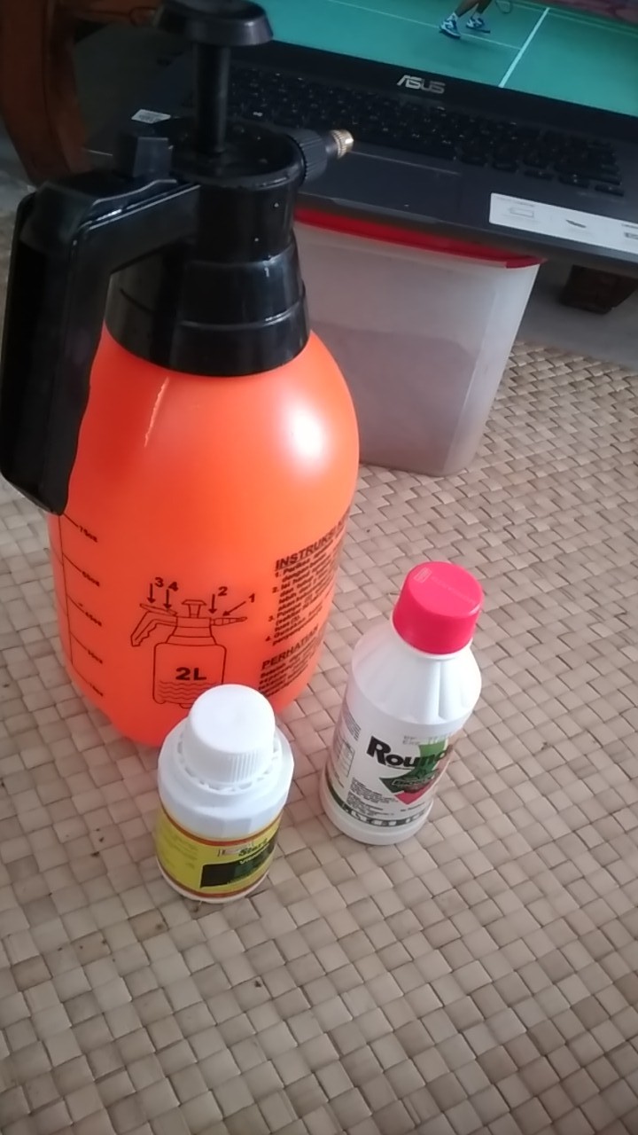 Round Up 486 Sl Isi 200 Ml Herbisida Pembasmi Rumput Racun Rumput Ilalang Sistemik