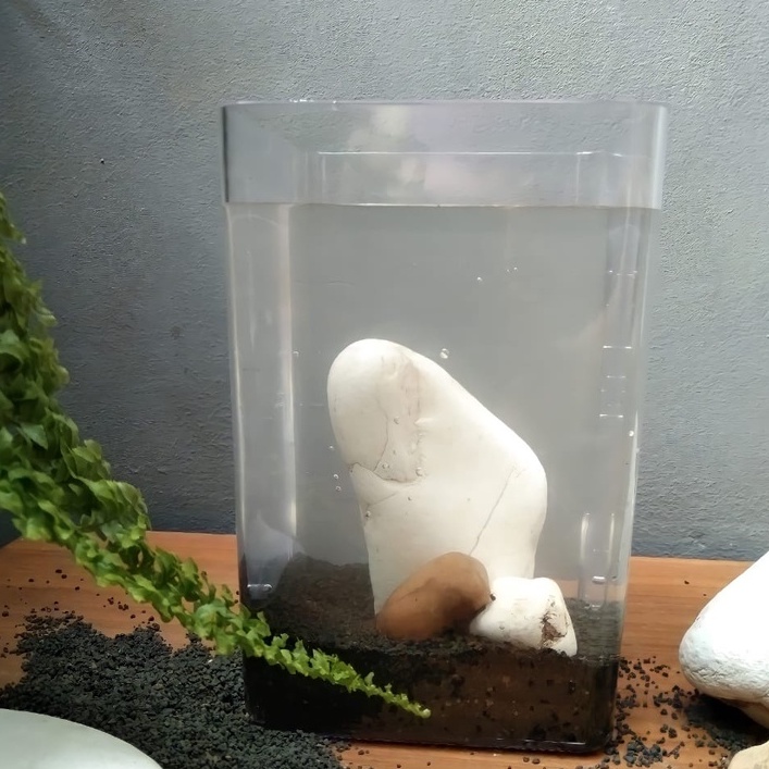 Aquascape / Aquascape Fullset / Aquarium /  Aquarium Cupang / Aquarium Mini/ Akuarium