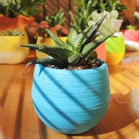 Mini Candy Flower Pot