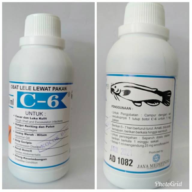 C-6 obat lele