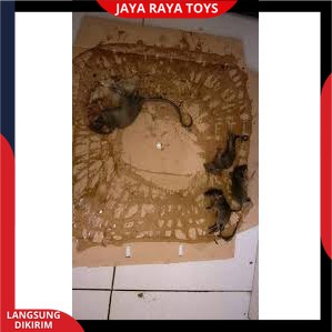 Lem Tikus / Jebakan Tikus / Cobra / Lem Tikus Cobra Super Lengket Ampuh &amp; Berkualitas Bisa Cod