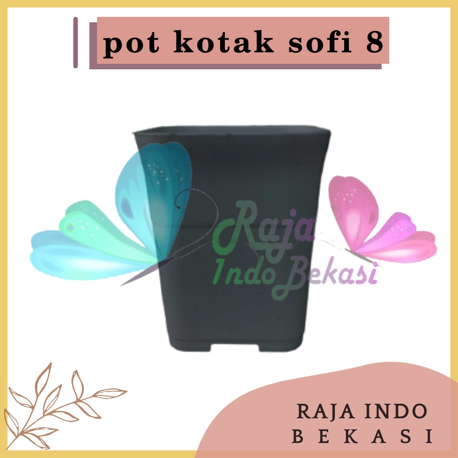 Pot Kotak Kecil Sofi 8 Cm Pot Sofi Batik Hitam Pot Cactus Katus Sanse Sekulen | Bukan Pot Nkt - Pot Kotak Kecil Hitam