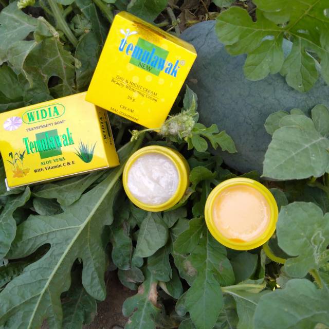 

Paket temulawak
