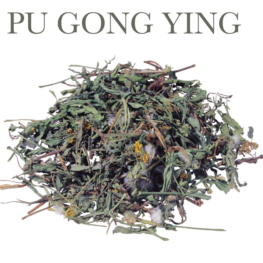 

600 G GR GRAM TEH DANDELION HERBAL TEA PU GONG YING