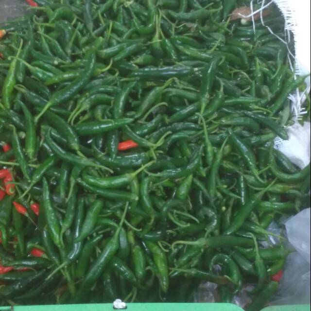 

Cabe cabai hijau besar / 95 gram