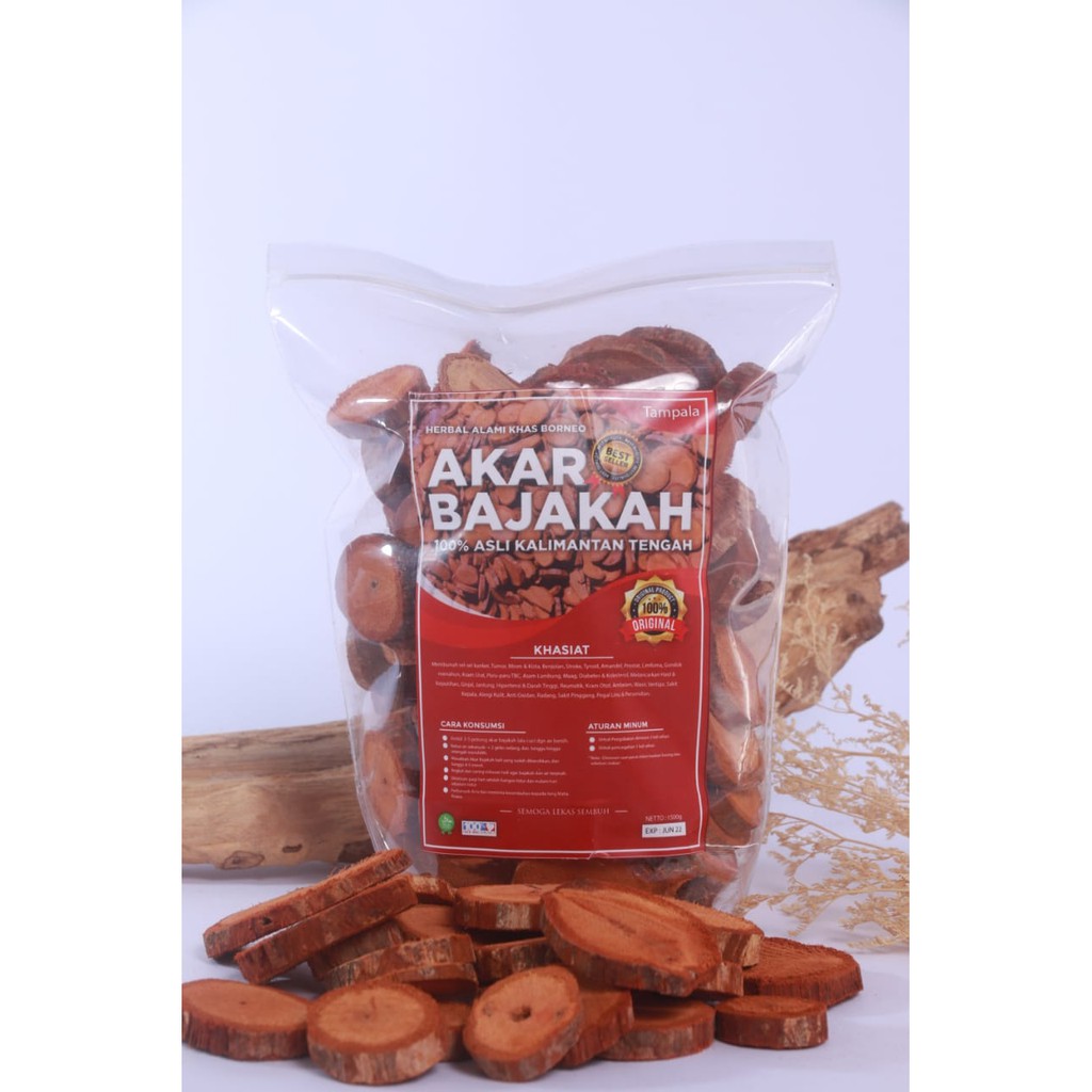 [Paket 2kg] Akar Kayu BAJAKAH kering siap seduh Obat Tumor dan Kanker (100% ORIGINAL)