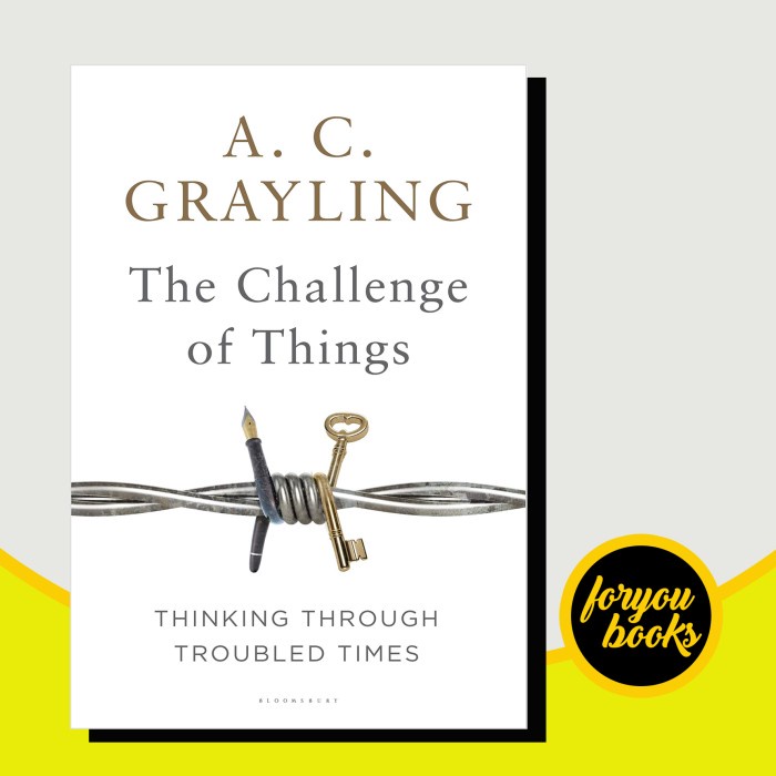 The challenge of things: thinking through troubled times A. C. Graylin