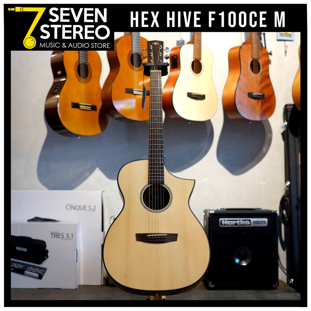 Hex Hive F100 CE Acoustic Electric Guitar