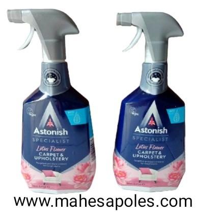 Pembersih karpet/Pembersih sofa/Pembersih springbed/