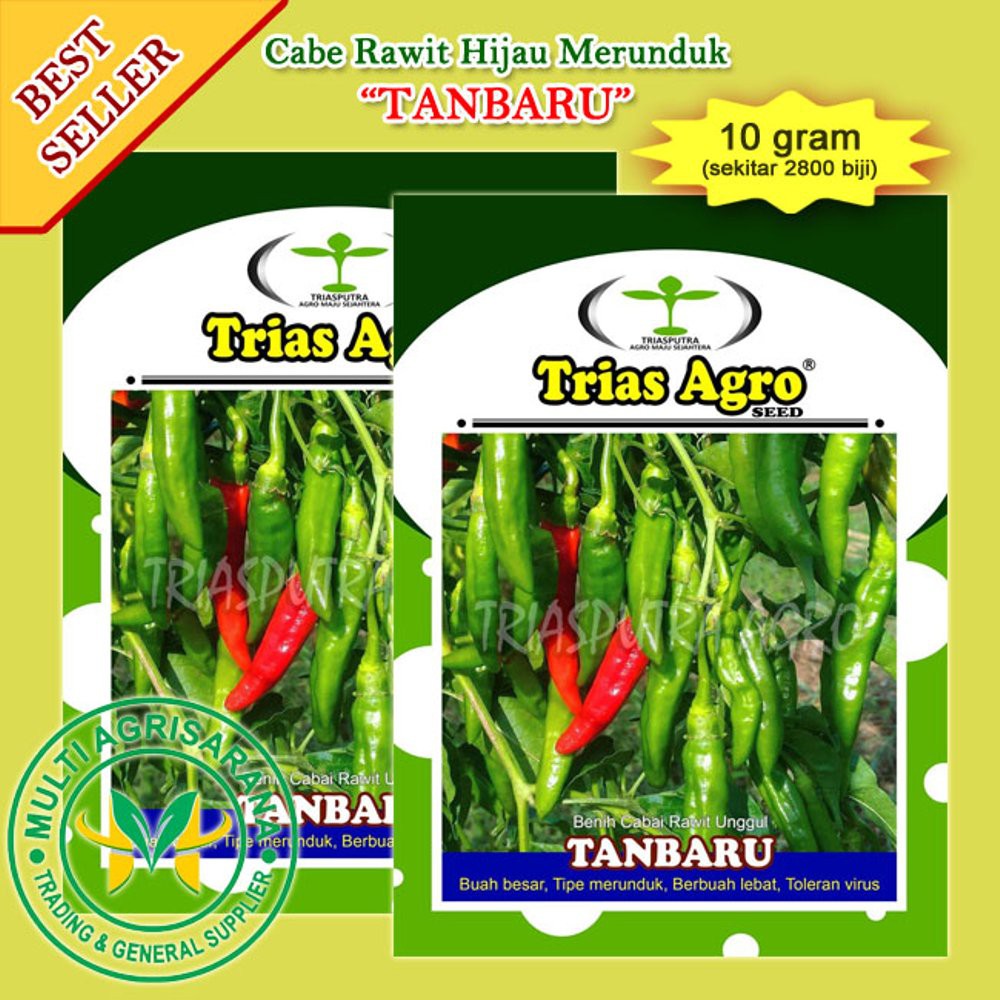 Benih Cabe Rawit Hijau Merunduk TANBARU Diskon