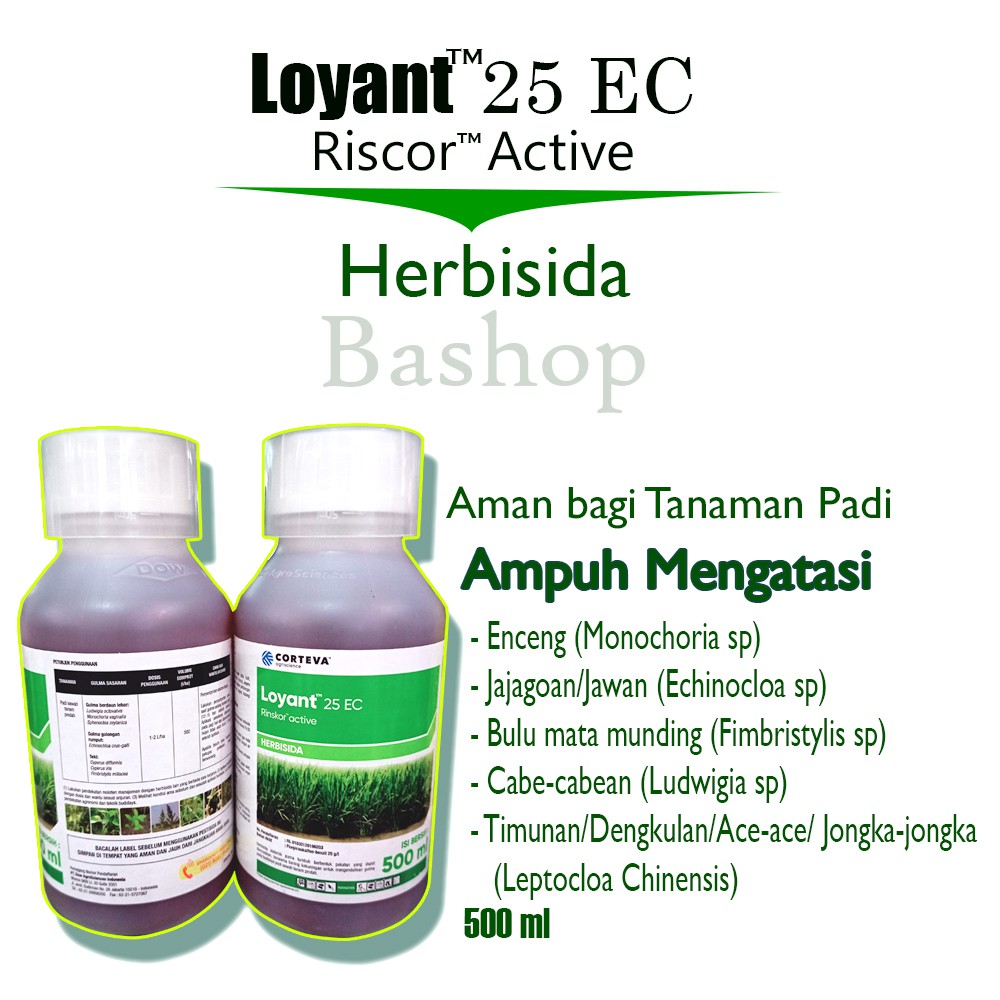 Herbisida padi LOYANT 25 EC